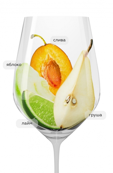 Пино Гри Резерв, Тримбах18991