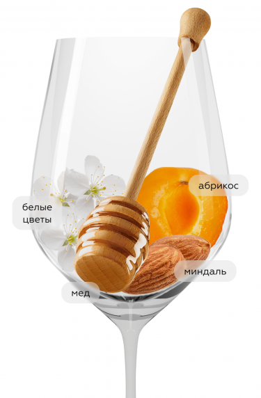 Шато де Грав Блан, Виньобль Бютлер19227