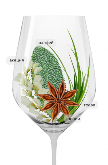 Лафоа Совиньон, Кольтеренцио19254