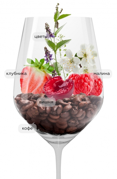 Альтогранде Крианса, Альтогранде19255