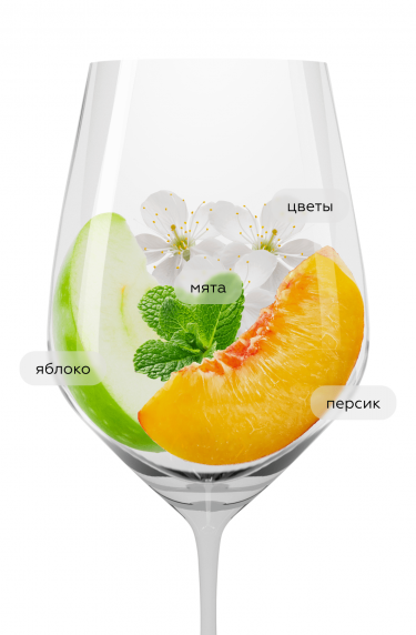 Роэро Арнеис, Вьетти19271