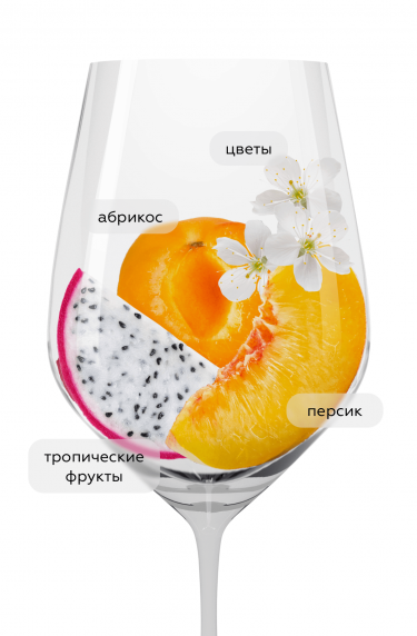 Вионье, Усадьба Маркотх19663