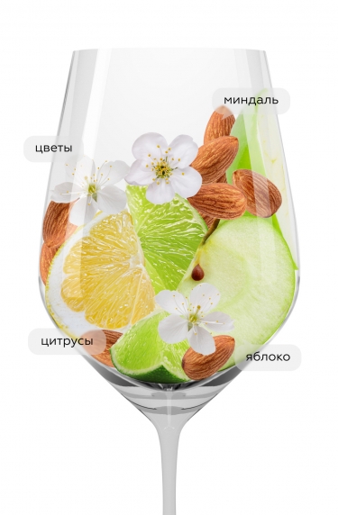 Гарганега, Домини Венети19716