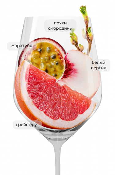 Совиньон Блан, Сикоры19830