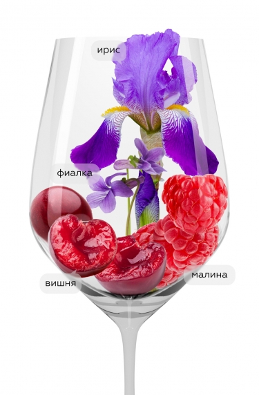 Кьянти, Банфи19891