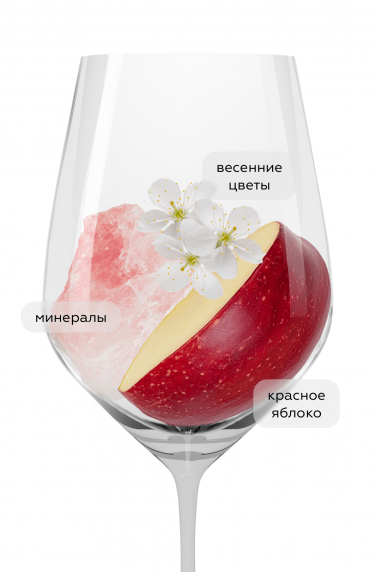 Пюрте Премье Крю Брют Натюр, Жофруа21070