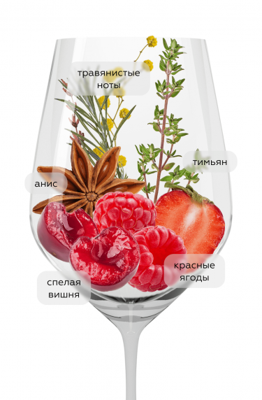 Паддл Крик Пино Нуар, Лейк Роуд Груп Лимитед20060