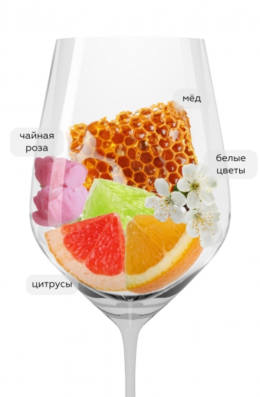 Гран Феудо Москатель, Бодегас Чивите20106