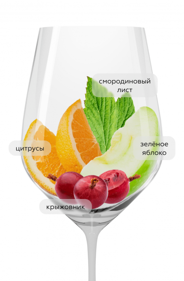 Совиньон Блан, Мисти Клифф20187