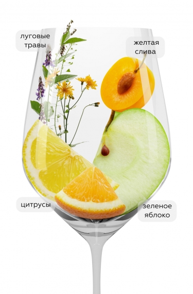 Грин Лиф Рислинг Био, Вайнкеллерай Хехтсхайм21098