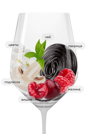 Моргон Ла Шанез, Домен Доминик Пирон20279