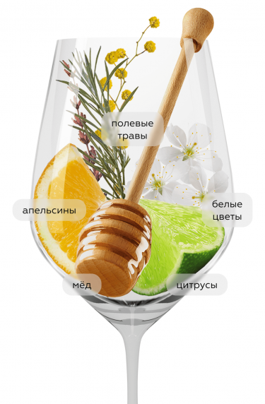 Локо Чимбали Рислинг, Локо Чимбали20290