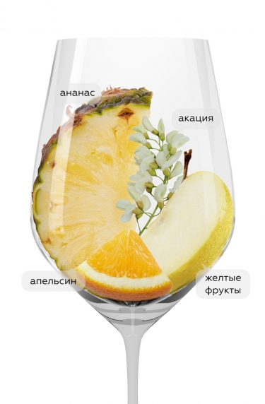 Гран Терруар, Пальмер энд Ко20369