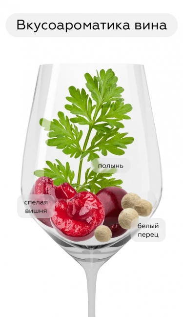 Каролина Ресерва Карменер, Санта Каролина20394