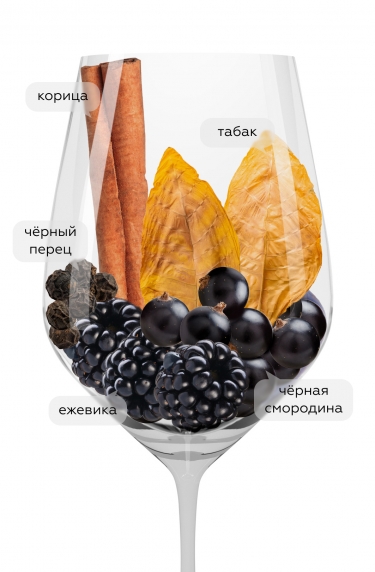 Сасси Кьюзи, Бертинга13710