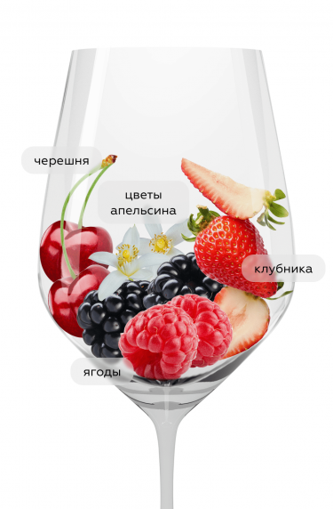 Кампироза, Дино Иллюминати20463