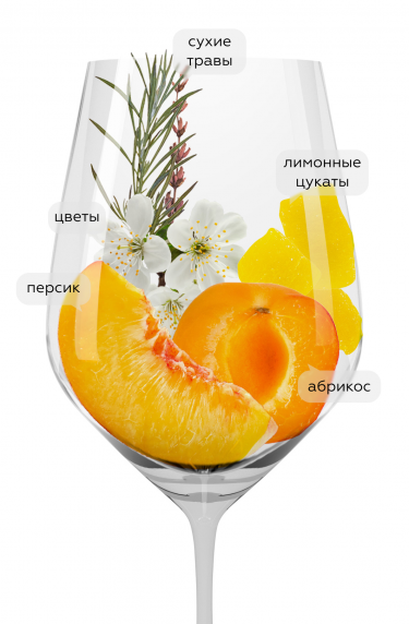 Гави Вилла Спарина, Вилла Спарина20479