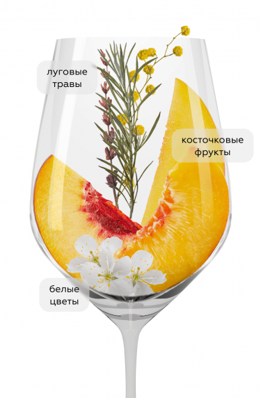 Таурази, Феуди ди Сан Грегорио20489