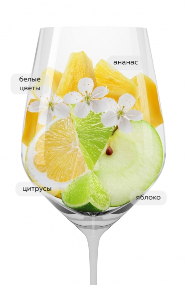 Классик, Домен Тарике21121