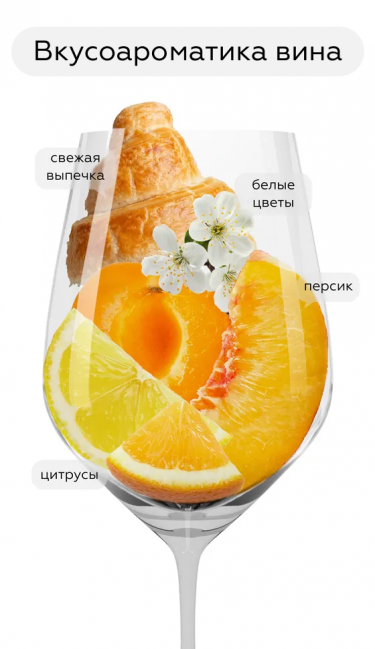 Каапс Вонкель Брют, Симонсиг20548