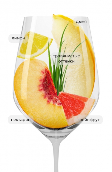 Совиньон Блан Санберд, Симонсиг20564