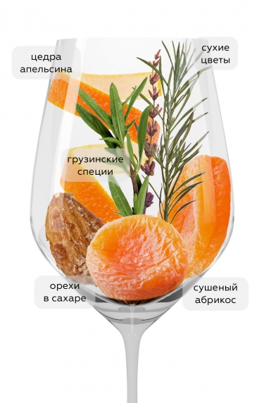 Киси Квеври, Бинехи20584