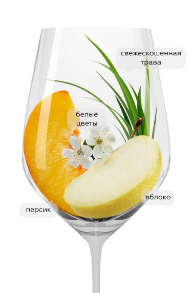 Гави Вилла Сколька, Ла Сколька20671