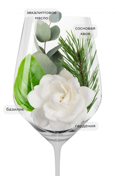 Москатель Супер Эстрелла, Роберто Энрикес20760