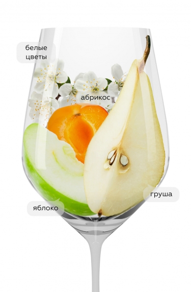 Гави Иль Валентино, Ла Сколька20824