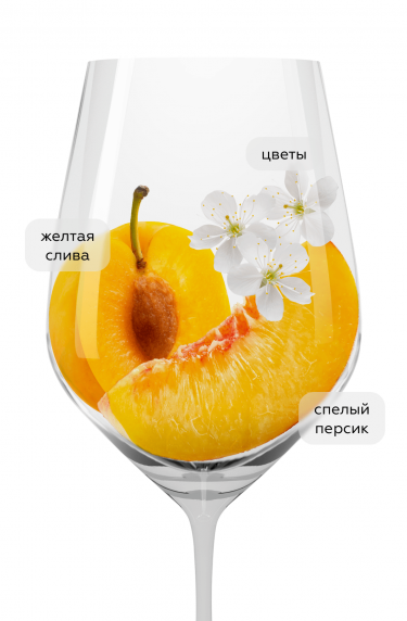 Рислинг Олд Вайнс Мозель, Ник Вайс Ст. Урбанс-Хоф20904