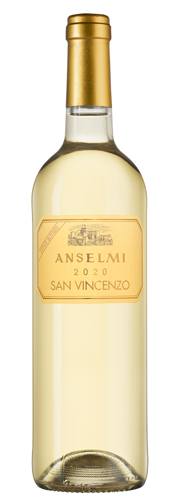 Сан Винченцо, Роберто Ансельми20917