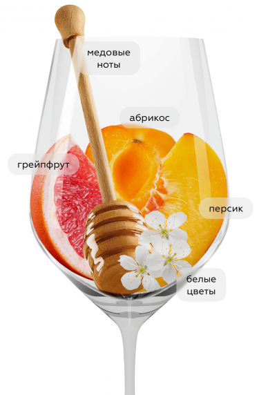 Медуса Альбариньо, Медуса21349