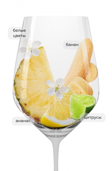 Пино Гриджо, Каза Дефра21379