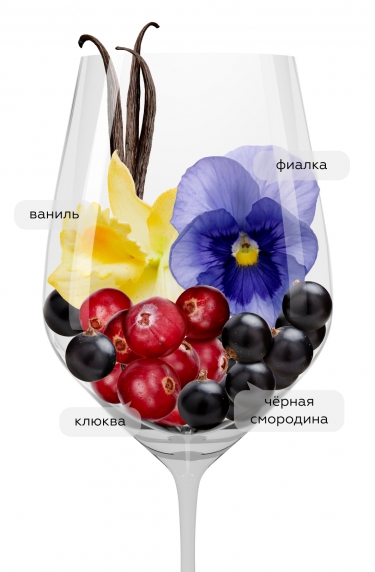 Финка Нуэва Вендимия, Финка Нуэва21399