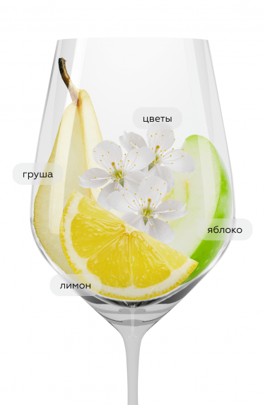 Медуса Брют, Феликс Солис21401