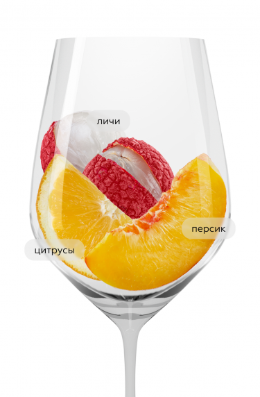 Жарден де ля Тор Марсан Совиньон блан, Ле Селье Жан д'Алибер21623