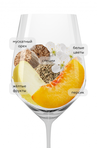 УНА Мускат Оттонель, Голсер Вейн21659