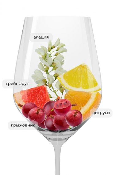 Пью Совиньон Блан, Трапиче21665