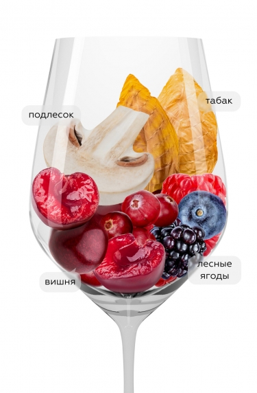 Бургонь Пино Нуар Ла Винье, Бушар Пэр э Фис22064