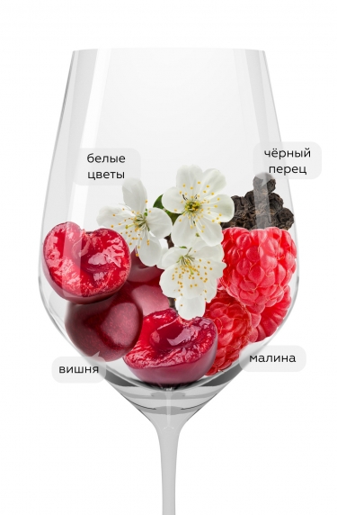 Бардолино Классико Ка' Борденис, Санти22324