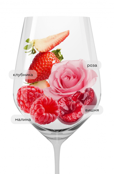 Каролина Ресерва Розе, Санта Каролина22357