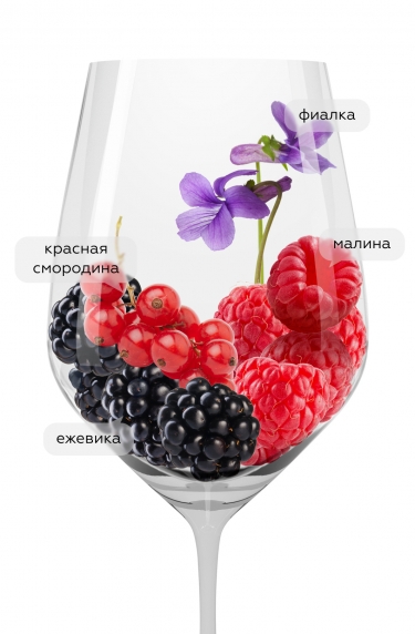 Божоле-Вилляж, Жозеф Друэн22426