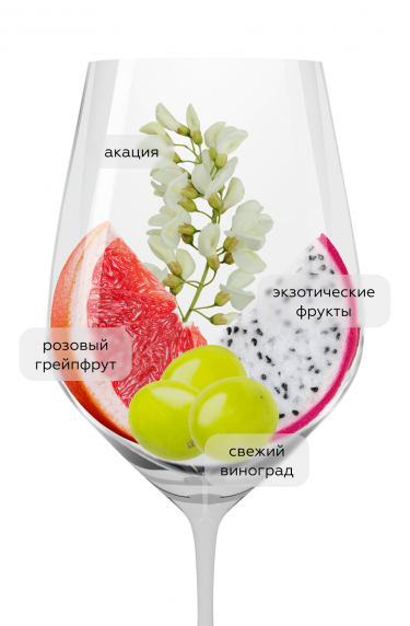 Бургонь Шардоне Лафоре, Жозеф Друэн22433