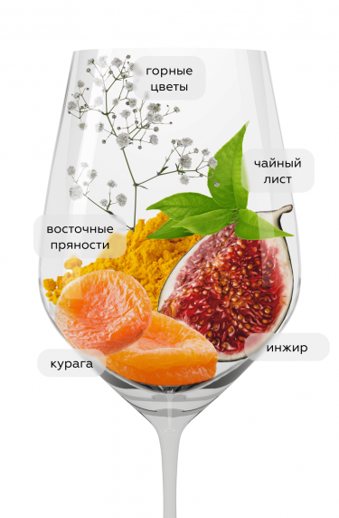 Цицка Квеври, Бинехи22536