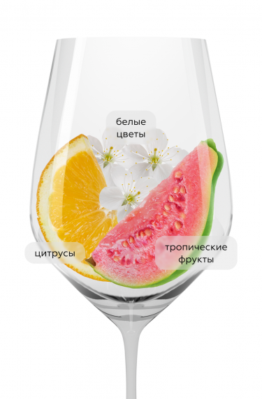 Ле Бордо де Ситран Блан, Шато Ситран22848