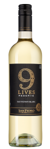 Гато Негро 9 Лайвс Резерв Совиньон Блан, Винья Сан Педро22908