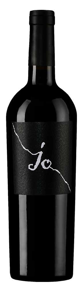 Йо Саленто Неграмаро, Джанфранко Фино16438