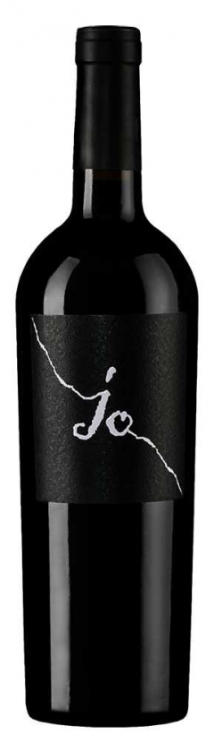 Йо Саленто Неграмаро, Джанфранко Фино