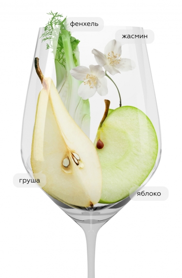 Чичарелло, Демократик Вайнс23106