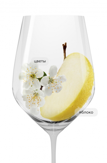 Просекко, Чело23131